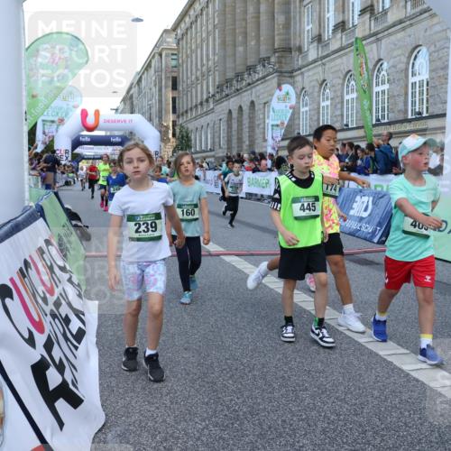 07.09.2025 - BARMER Alsterlauf Strokosch-Dieckow http://msf.ph/oto/8717195 07.09.2025 10:51:52 Ziel 158, 160, 174, 178, 192, 204, 222, 227, 239, 240, 288, 296, 306, 307, 311, 316, 317, 323, 334, 339, 342, 369, 383, 389, 390, 392, 405, 406, 409, 412, 423, 439, 440, 445, 446, 448, 8193, 8460 meine-sportfotos.de