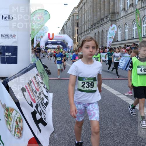 07.09.2025 - BARMER Alsterlauf Strokosch-Dieckow http://msf.ph/oto/8717196 07.09.2025 10:51:52 Ziel 158, 160, 174, 178, 192, 204, 222, 227, 239, 240, 288, 296, 306, 307, 311, 316, 317, 323, 334, 339, 342, 369, 383, 389, 390, 392, 405, 406, 409, 412, 423, 439, 440, 445, 446, 448, 8193, 8460 meine-sportfotos.de