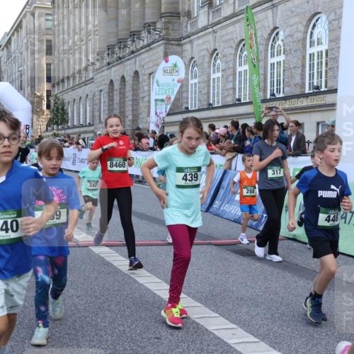 07.09.2025 - BARMER Alsterlauf Strokosch-Dieckow http://msf.ph/oto/8717203 07.09.2025 10:51:55 Ziel 153, 158, 160, 174, 178, 186, 192, 204, 222, 227, 239, 240, 265, 288, 296, 306, 307, 311, 316, 317, 323, 339, 342, 369, 389, 390, 406, 409, 423, 439, 446, 448, 8460 meine-sportfotos.de