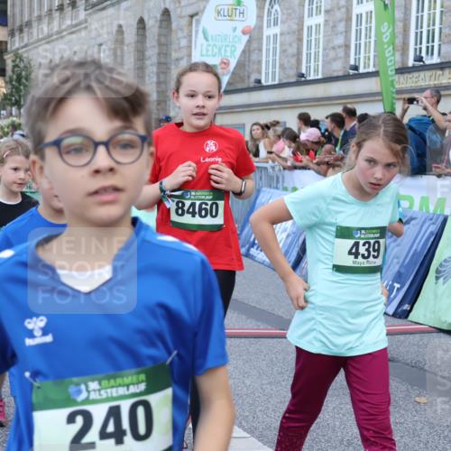 07.09.2025 - BARMER Alsterlauf Strokosch-Dieckow http://msf.ph/oto/8717205 07.09.2025 10:51:56 Ziel 153, 158, 160, 174, 178, 186, 192, 204, 222, 227, 240, 265, 288, 296, 306, 307, 311, 317, 323, 342, 369, 389, 406, 409, 423, 439, 446, 448, 455, 8460 meine-sportfotos.de