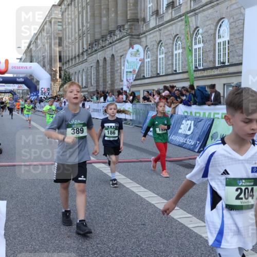 07.09.2025 - BARMER Alsterlauf Strokosch-Dieckow http://msf.ph/oto/8717211 07.09.2025 10:52:01 Ziel 153, 158, 164, 178, 186, 191, 192, 204, 209, 227, 232, 265, 288, 306, 307, 312, 315, 342, 350, 369, 389, 406, 415, 424, 455, 8085 meine-sportfotos.de