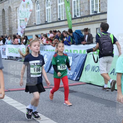 07.09.2025 - BARMER Alsterlauf Strokosch-Dieckow http://msf.ph/oto/8717212 07.09.2025 10:52:01 Ziel 153, 158, 164, 178, 186, 191, 192, 204, 209, 227, 232, 265, 288, 306, 307, 312, 315, 342, 350, 369, 389, 406, 415, 424, 455, 8085 meine-sportfotos.de