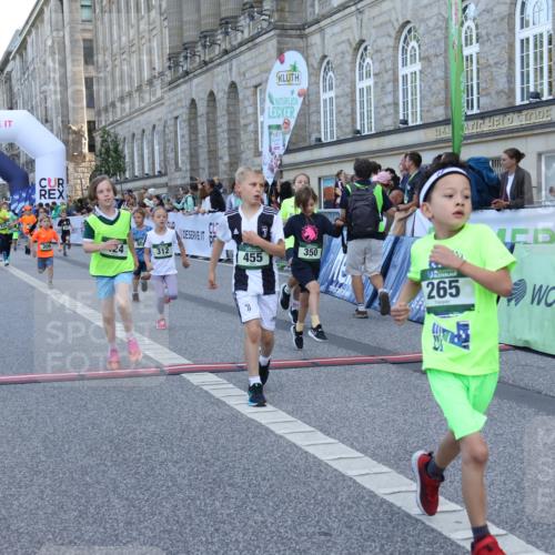 07.09.2025 - BARMER Alsterlauf Strokosch-Dieckow http://msf.ph/oto/8717217 07.09.2025 10:52:03 Ziel 153, 164, 186, 191, 204, 207, 209, 220, 227, 232, 265, 297, 307, 312, 315, 350, 369, 389, 403, 406, 415, 424, 455, 8085 meine-sportfotos.de