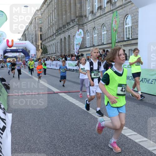 07.09.2025 - BARMER Alsterlauf Strokosch-Dieckow http://msf.ph/oto/8717221 07.09.2025 10:52:05 Ziel 153, 164, 169, 186, 191, 207, 209, 220, 232, 265, 297, 312, 315, 350, 367, 403, 415, 424, 455, 8085 meine-sportfotos.de