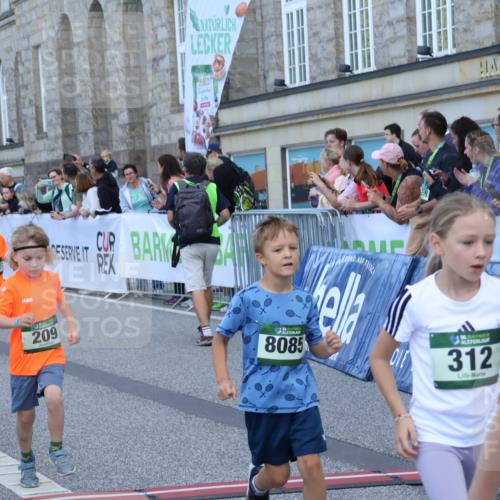 07.09.2025 - BARMER Alsterlauf Strokosch-Dieckow http://msf.ph/oto/8717224 07.09.2025 10:52:06 Ziel 153, 164, 169, 179, 186, 191, 202, 207, 209, 220, 232, 265, 297, 312, 315, 350, 367, 403, 415, 424, 455, 8085 meine-sportfotos.de