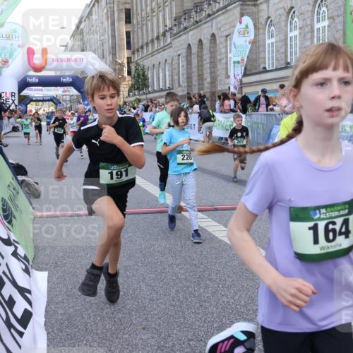 07.09.2025 - BARMER Alsterlauf Strokosch-Dieckow http://msf.ph/oto/8717228 07.09.2025 10:52:08 Ziel 164, 169, 179, 191, 202, 207, 209, 220, 232, 253, 257, 258, 297, 312, 315, 346, 350, 364, 367, 368, 394, 403, 415, 424, 455, 8085, 8277 meine-sportfotos.de