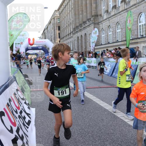 07.09.2025 - BARMER Alsterlauf Strokosch-Dieckow http://msf.ph/oto/8717229 07.09.2025 10:52:09 Ziel 164, 169, 179, 191, 202, 207, 209, 220, 232, 253, 257, 258, 274, 297, 312, 315, 346, 350, 364, 367, 368, 393, 394, 403, 404, 415, 424, 8085, 8277 meine-sportfotos.de