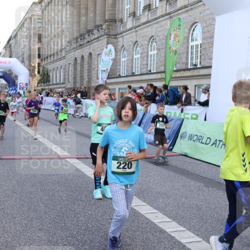 07.09.2025 - BARMER Alsterlauf Strokosch-Dieckow http://msf.ph/oto/8717232 07.09.2025 10:52:10 Ziel 164, 169, 179, 191, 202, 207, 209, 220, 232, 238, 253, 257, 258, 274, 285, 297, 312, 346, 364, 367, 368, 393, 394, 403, 404, 415, 8085, 8277 meine-sportfotos.de