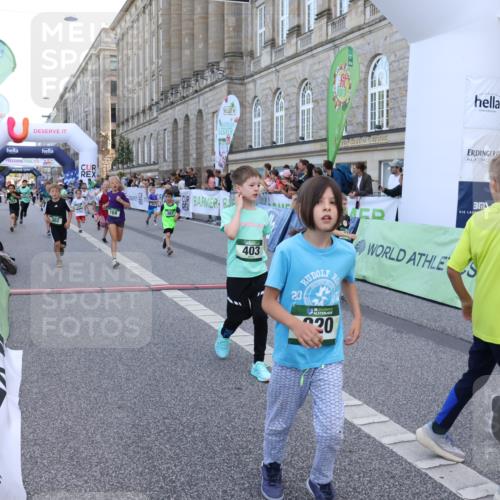 07.09.2025 - BARMER Alsterlauf Strokosch-Dieckow http://msf.ph/oto/8717233 07.09.2025 10:52:10 Ziel 164, 169, 179, 191, 202, 207, 209, 220, 232, 238, 253, 257, 258, 274, 285, 297, 312, 346, 364, 367, 368, 393, 394, 403, 404, 415, 8085, 8277 meine-sportfotos.de
