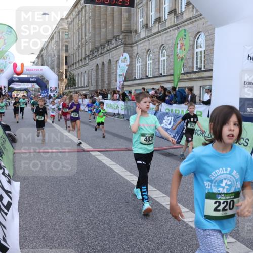07.09.2025 - BARMER Alsterlauf Strokosch-Dieckow http://msf.ph/oto/8717234 07.09.2025 10:52:11 Ziel 164, 169, 179, 191, 202, 206, 207, 209, 220, 232, 238, 253, 257, 258, 274, 285, 297, 346, 364, 367, 368, 393, 394, 403, 404, 415, 8085, 8277 meine-sportfotos.de
