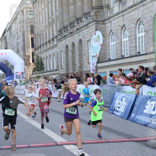 07.09.2025 - BARMER Alsterlauf Strokosch-Dieckow http://msf.ph/oto/8717235 07.09.2025 10:52:11 Ziel 164, 169, 179, 191, 202, 206, 207, 209, 220, 232, 238, 253, 257, 258, 274, 285, 297, 346, 364, 367, 368, 393, 394, 403, 404, 415, 8085, 8277 meine-sportfotos.de