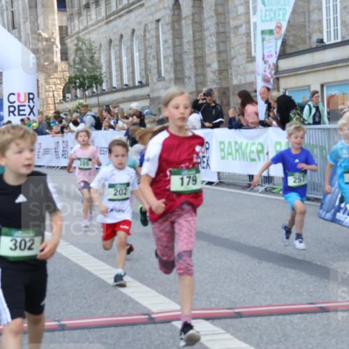 07.09.2025 - BARMER Alsterlauf Strokosch-Dieckow http://msf.ph/oto/8717237 07.09.2025 10:52:12 Ziel 164, 169, 179, 191, 202, 206, 207, 209, 220, 232, 238, 253, 257, 258, 274, 285, 297, 346, 364, 367, 368, 393, 394, 403, 404, 415, 8277 meine-sportfotos.de