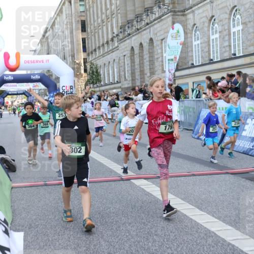 07.09.2025 - BARMER Alsterlauf Strokosch-Dieckow http://msf.ph/oto/8717238 07.09.2025 10:52:13 Ziel 169, 179, 191, 202, 206, 207, 220, 238, 253, 257, 258, 274, 285, 297, 299, 346, 364, 367, 368, 393, 394, 403, 404, 8277 meine-sportfotos.de