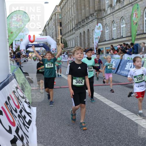 07.09.2025 - BARMER Alsterlauf Strokosch-Dieckow http://msf.ph/oto/8717241 07.09.2025 10:52:14 Ziel 169, 179, 202, 206, 207, 220, 238, 253, 257, 258, 274, 285, 297, 299, 346, 364, 367, 368, 393, 394, 403, 404, 8277, 8480 meine-sportfotos.de