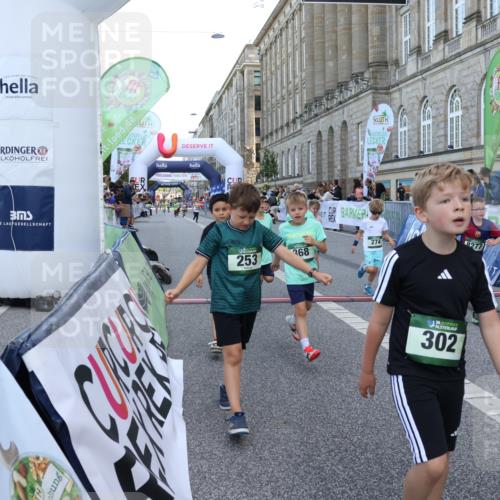 07.09.2025 - BARMER Alsterlauf Strokosch-Dieckow http://msf.ph/oto/8717244 07.09.2025 10:52:15 Ziel 169, 179, 202, 206, 207, 238, 253, 257, 258, 274, 285, 299, 346, 364, 367, 368, 393, 394, 404, 8277, 8480 meine-sportfotos.de