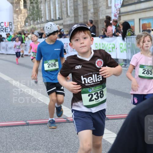 07.09.2025 - BARMER Alsterlauf Strokosch-Dieckow http://msf.ph/oto/8717245 07.09.2025 10:52:17 Ziel 169, 179, 202, 206, 237, 238, 253, 257, 258, 274, 285, 299, 346, 364, 367, 368, 393, 394, 398, 404, 8277, 8480 meine-sportfotos.de