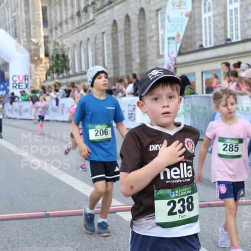 07.09.2025 - BARMER Alsterlauf Strokosch-Dieckow http://msf.ph/oto/8717246 07.09.2025 10:52:18 Ziel 179, 202, 206, 237, 238, 253, 257, 258, 274, 285, 299, 346, 360, 364, 368, 393, 394, 398, 404, 8277, 8480 meine-sportfotos.de
