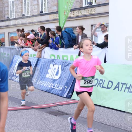 07.09.2025 - BARMER Alsterlauf Strokosch-Dieckow http://msf.ph/oto/8717251 07.09.2025 10:52:20 Ziel 206, 237, 238, 274, 284, 285, 299, 330, 360, 368, 393, 398, 404, 8277, 8480 meine-sportfotos.de