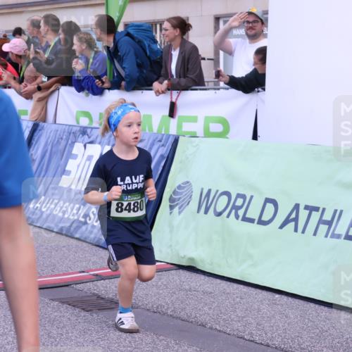07.09.2025 - BARMER Alsterlauf Strokosch-Dieckow http://msf.ph/oto/8717252 07.09.2025 10:52:21 Ziel 154, 206, 212, 237, 238, 274, 284, 285, 299, 330, 360, 393, 398, 404, 8298, 8480 meine-sportfotos.de