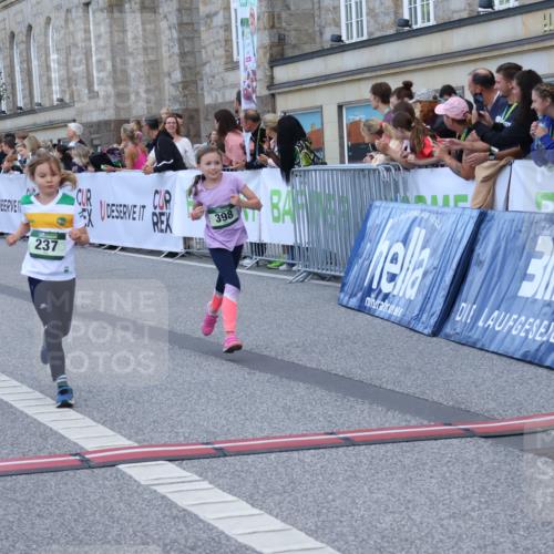 07.09.2025 - BARMER Alsterlauf Strokosch-Dieckow http://msf.ph/oto/8717254 07.09.2025 10:52:22 Ziel 154, 175, 206, 212, 221, 237, 238, 284, 285, 299, 330, 360, 398, 8298, 8480 meine-sportfotos.de