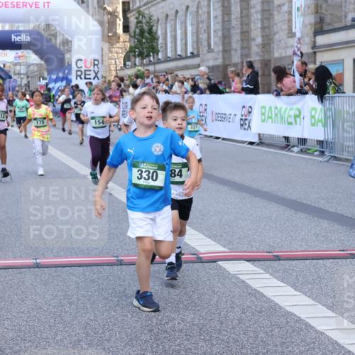 07.09.2025 - BARMER Alsterlauf Strokosch-Dieckow http://msf.ph/oto/8717264 07.09.2025 10:52:26 Ziel 154, 155, 168, 175, 212, 221, 237, 284, 329, 330, 360, 382, 385, 398, 8280, 8298, 8451, 8480, 8487 meine-sportfotos.de