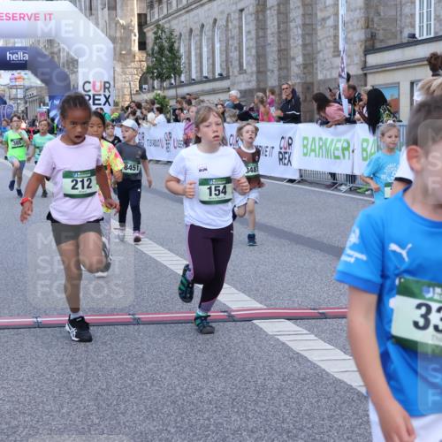 07.09.2025 - BARMER Alsterlauf Strokosch-Dieckow http://msf.ph/oto/8717269 07.09.2025 10:52:28 Ziel 154, 155, 168, 175, 212, 221, 237, 284, 329, 330, 360, 382, 385, 398, 8280, 8298, 8392, 8451, 8487 meine-sportfotos.de