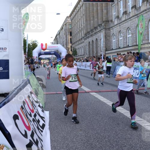 07.09.2025 - BARMER Alsterlauf Strokosch-Dieckow http://msf.ph/oto/8717272 07.09.2025 10:52:29 Ziel 154, 155, 168, 175, 212, 221, 284, 329, 330, 360, 382, 385, 398, 8280, 8298, 8392, 8451, 8487 meine-sportfotos.de