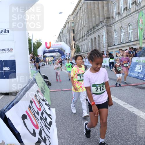 07.09.2025 - BARMER Alsterlauf Strokosch-Dieckow http://msf.ph/oto/8717274 07.09.2025 10:52:30 Ziel 154, 155, 168, 175, 212, 221, 284, 329, 330, 360, 382, 385, 8280, 8298, 8392, 8451, 8487 meine-sportfotos.de