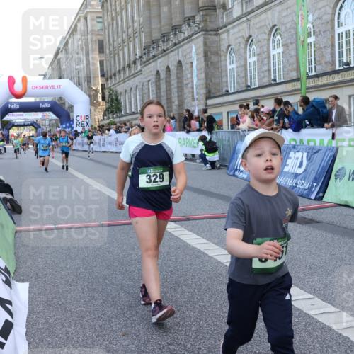 07.09.2025 - BARMER Alsterlauf Strokosch-Dieckow http://msf.ph/oto/8717283 07.09.2025 10:52:34 Ziel 155, 168, 175, 187, 221, 329, 341, 382, 385, 386, 414, 429, 8124, 8280, 8392, 8451, 8487 meine-sportfotos.de