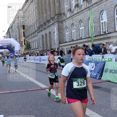 07.09.2025 - BARMER Alsterlauf Strokosch-Dieckow http://msf.ph/oto/8717284 07.09.2025 10:52:35 Ziel 155, 168, 187, 301, 329, 341, 371, 382, 385, 386, 414, 429, 8124, 8280, 8392, 8451, 8487 meine-sportfotos.de