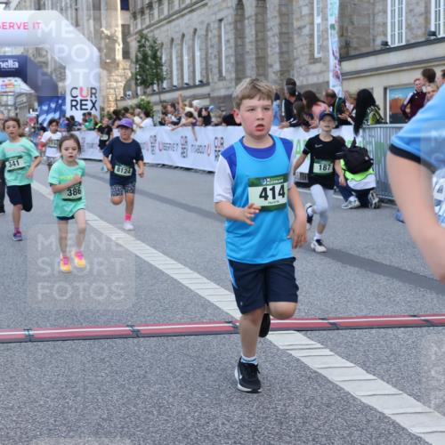 07.09.2025 - BARMER Alsterlauf Strokosch-Dieckow http://msf.ph/oto/8717290 07.09.2025 10:52:39 Ziel 187, 194, 301, 341, 371, 386, 414, 429, 8124, 8392 meine-sportfotos.de