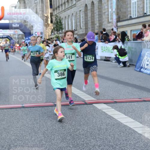 07.09.2025 - BARMER Alsterlauf Strokosch-Dieckow http://msf.ph/oto/8717294 07.09.2025 10:52:40 Ziel 187, 194, 276, 282, 301, 341, 357, 371, 386, 414, 429, 8124, 8392 meine-sportfotos.de