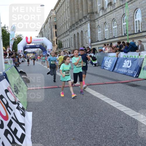 07.09.2025 - BARMER Alsterlauf Strokosch-Dieckow http://msf.ph/oto/8717295 07.09.2025 10:52:41 Ziel 187, 194, 215, 276, 282, 301, 328, 341, 357, 371, 386, 414, 429, 8124 meine-sportfotos.de