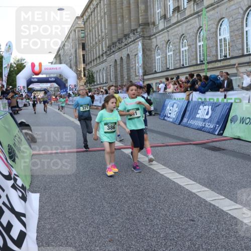 07.09.2025 - BARMER Alsterlauf Strokosch-Dieckow http://msf.ph/oto/8717296 07.09.2025 10:52:41 Ziel 187, 194, 215, 276, 282, 301, 328, 341, 357, 371, 386, 414, 429, 8124 meine-sportfotos.de
