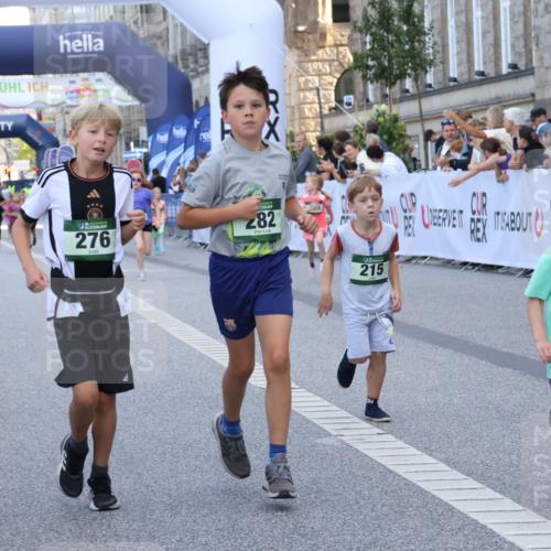 07.09.2025 - BARMER Alsterlauf Strokosch-Dieckow http://msf.ph/oto/8717300 07.09.2025 10:52:45 Ziel 187, 194, 195, 215, 255, 276, 282, 301, 328, 341, 357, 371, 386, 8124 meine-sportfotos.de