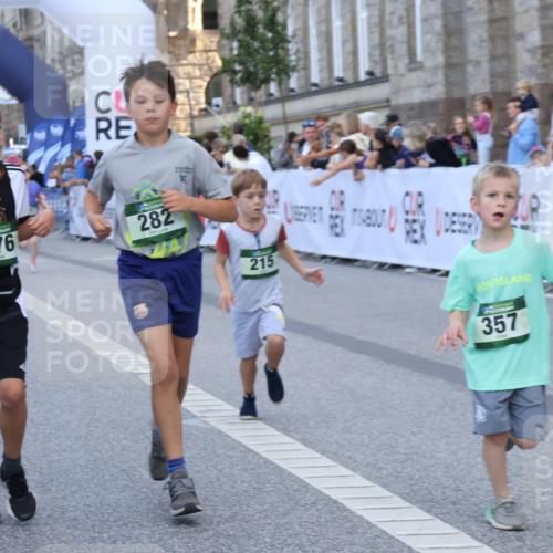 07.09.2025 - BARMER Alsterlauf Strokosch-Dieckow http://msf.ph/oto/8717301 07.09.2025 10:52:45 Ziel 187, 194, 195, 215, 255, 276, 282, 301, 328, 341, 357, 371, 386, 8124 meine-sportfotos.de