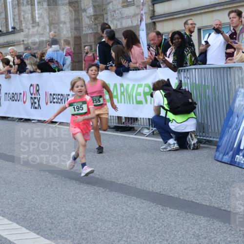 07.09.2025 - BARMER Alsterlauf Strokosch-Dieckow http://msf.ph/oto/8717308 07.09.2025 10:52:49 Ziel 181, 182, 194, 195, 215, 255, 276, 282, 328, 357 meine-sportfotos.de