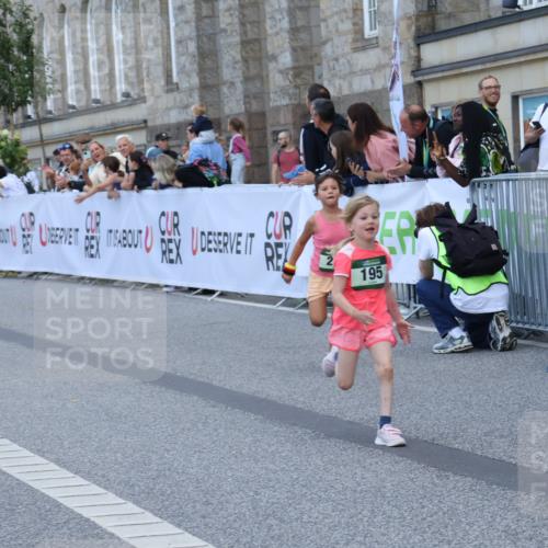 07.09.2025 - BARMER Alsterlauf Strokosch-Dieckow http://msf.ph/oto/8717309 07.09.2025 10:52:50 Ziel 181, 182, 195, 200, 215, 255, 276, 282, 328, 357 meine-sportfotos.de