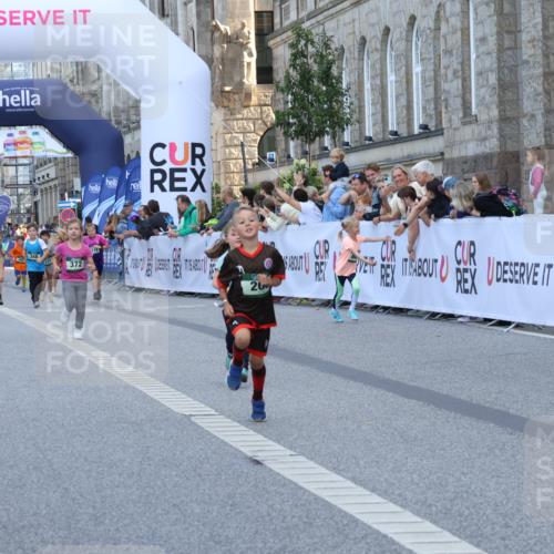 07.09.2025 - BARMER Alsterlauf Strokosch-Dieckow http://msf.ph/oto/8717318 07.09.2025 10:52:54 Ziel 161, 181, 182, 195, 200, 255, 370, 372, 8084 meine-sportfotos.de