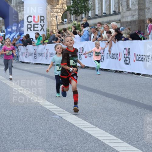 07.09.2025 - BARMER Alsterlauf Strokosch-Dieckow http://msf.ph/oto/8717319 07.09.2025 10:52:55 Ziel 161, 181, 182, 195, 200, 218, 255, 370, 372, 8084 meine-sportfotos.de