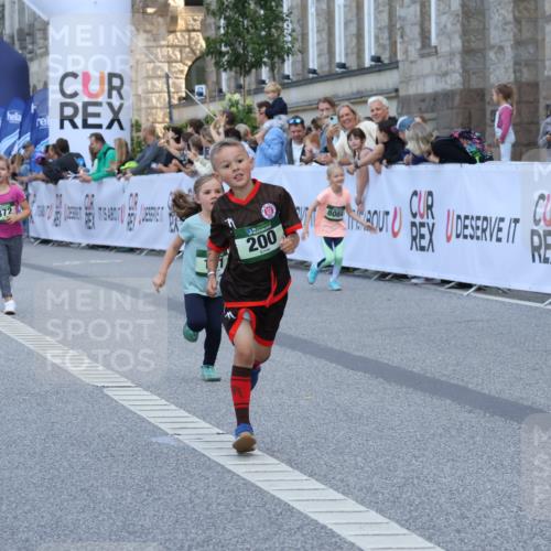 07.09.2025 - BARMER Alsterlauf Strokosch-Dieckow http://msf.ph/oto/8717320 07.09.2025 10:52:55 Ziel 161, 181, 182, 195, 200, 218, 255, 370, 372, 8084 meine-sportfotos.de