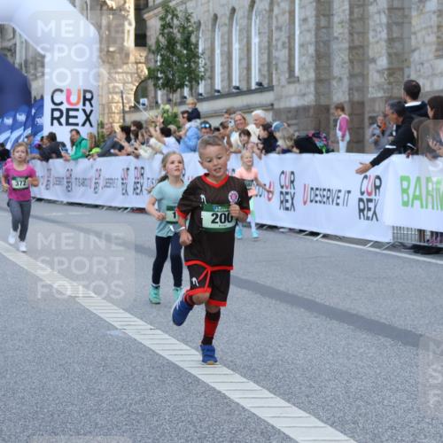 07.09.2025 - BARMER Alsterlauf Strokosch-Dieckow http://msf.ph/oto/8717321 07.09.2025 10:52:56 Ziel 161, 181, 182, 195, 200, 218, 255, 370, 372, 8084, 8483 meine-sportfotos.de