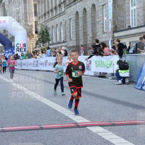 07.09.2025 - BARMER Alsterlauf Strokosch-Dieckow http://msf.ph/oto/8717323 07.09.2025 10:52:56 Ziel 161, 181, 182, 195, 200, 218, 255, 370, 372, 8084, 8483 meine-sportfotos.de