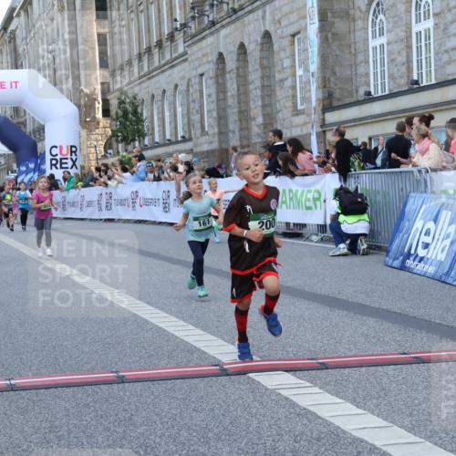 07.09.2025 - BARMER Alsterlauf Strokosch-Dieckow http://msf.ph/oto/8717324 07.09.2025 10:52:57 Ziel 161, 181, 182, 188, 200, 218, 255, 348, 355, 370, 372, 8084, 8483 meine-sportfotos.de