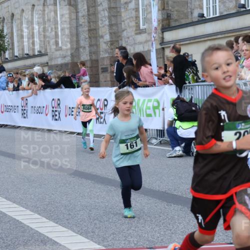 07.09.2025 - BARMER Alsterlauf Strokosch-Dieckow http://msf.ph/oto/8717325 07.09.2025 10:52:57 Ziel 161, 181, 182, 188, 200, 218, 255, 348, 355, 370, 372, 8084, 8483 meine-sportfotos.de