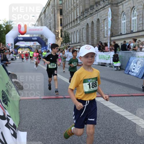 07.09.2025 - BARMER Alsterlauf Strokosch-Dieckow http://msf.ph/oto/8717342 07.09.2025 10:53:05 Ziel 188, 198, 201, 218, 254, 278, 292, 293, 326, 348, 355, 362, 370, 372, 416, 8084, 8211, 8220, 8297, 8483 meine-sportfotos.de