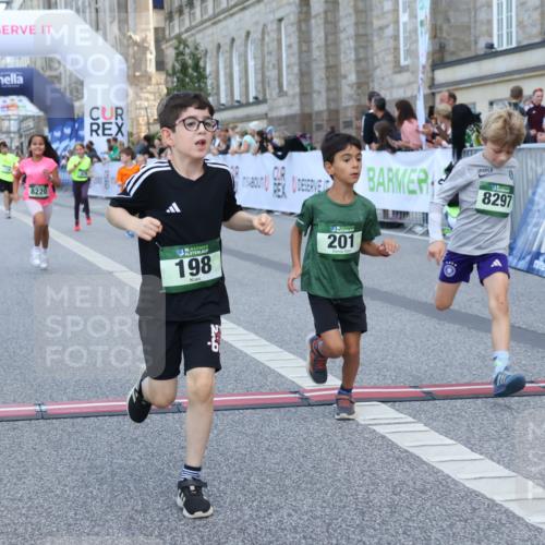 07.09.2025 - BARMER Alsterlauf Strokosch-Dieckow http://msf.ph/oto/8717344 07.09.2025 10:53:05 Ziel 188, 198, 201, 218, 254, 278, 292, 293, 326, 348, 355, 362, 370, 372, 416, 8084, 8211, 8220, 8297, 8483 meine-sportfotos.de