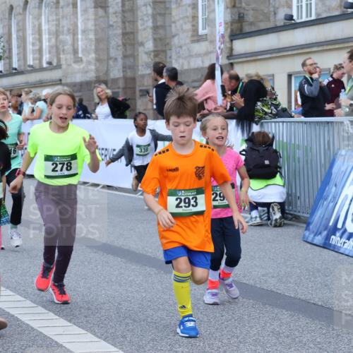 07.09.2025 - BARMER Alsterlauf Strokosch-Dieckow http://msf.ph/oto/8717354 07.09.2025 10:53:09 Ziel 159, 188, 198, 201, 248, 254, 278, 292, 293, 305, 326, 331, 338, 348, 355, 362, 416, 8211, 8220, 8297 meine-sportfotos.de