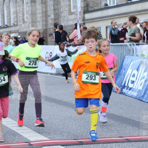 07.09.2025 - BARMER Alsterlauf Strokosch-Dieckow http://msf.ph/oto/8717355 07.09.2025 10:53:10 Ziel 159, 198, 201, 248, 254, 278, 281, 292, 293, 305, 326, 331, 338, 362, 416, 8087, 8211, 8220, 8297 meine-sportfotos.de