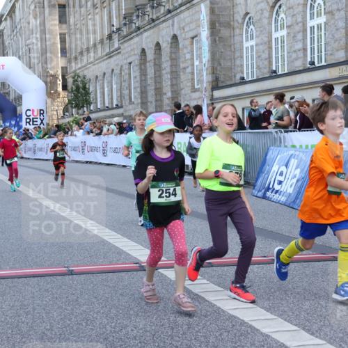 07.09.2025 - BARMER Alsterlauf Strokosch-Dieckow http://msf.ph/oto/8717357 07.09.2025 10:53:10 Ziel 159, 198, 201, 248, 254, 278, 281, 292, 293, 305, 326, 331, 338, 362, 416, 8087, 8211, 8220, 8297 meine-sportfotos.de